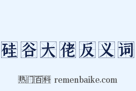 硅谷大佬反义词是什么意思的图片